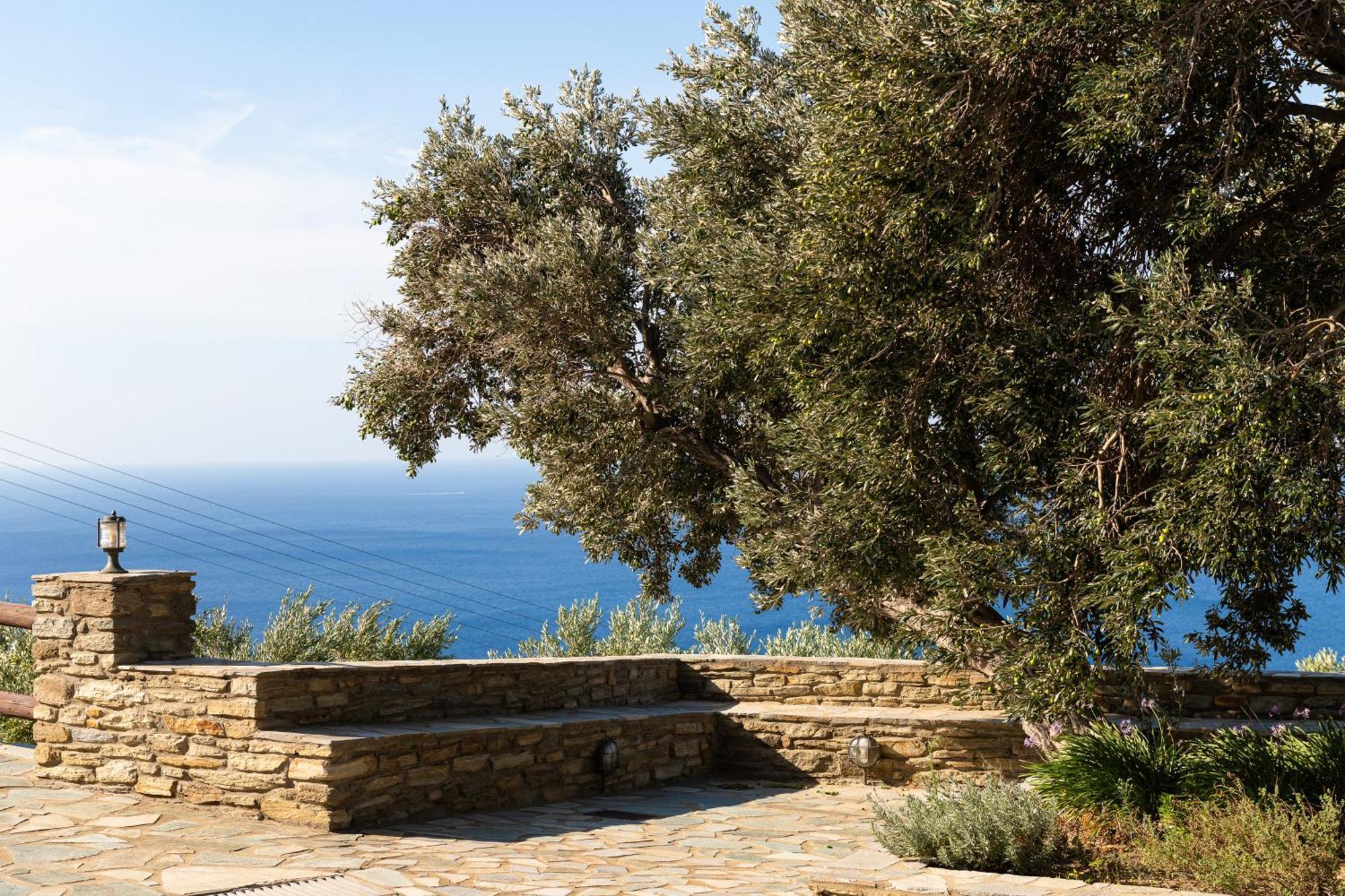 Andros Serenity Retreat - Adults Only Episkopion  エクステリア 写真